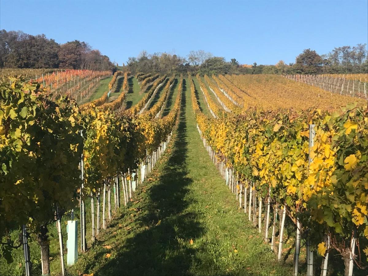 Weingut & Gastezimmer Edelmann Göttlesbrunn Exterior foto